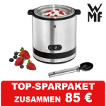 WMF Eismaschine 